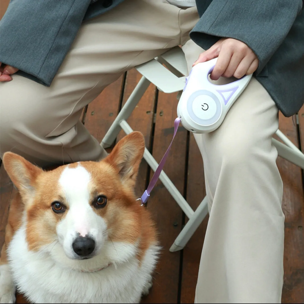 LED Light Retractable Dog Leash, 2 colors
