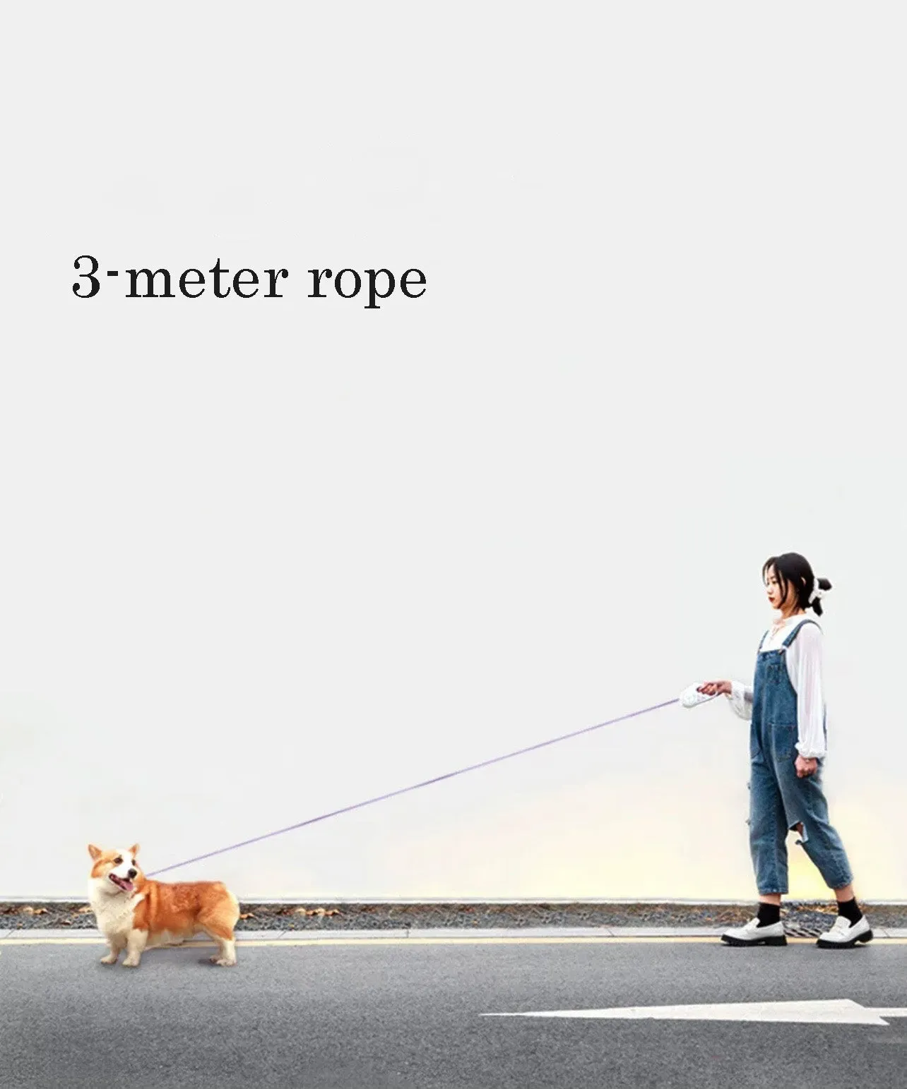 LED Light Retractable Dog Leash, 2 colors